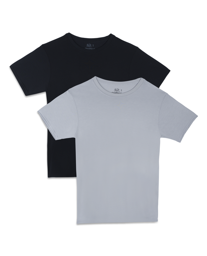 Fruit Of The Loom Premium Cool Blend Men S Crew T Shirts 2 Pack