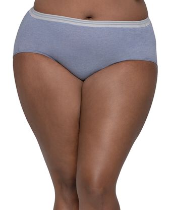 Women's Plus Fit For Me Heather Assorted Brief Underwear, 10 pack 