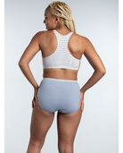 Women's Heather Assorted Brief Underwear, 10 pack 